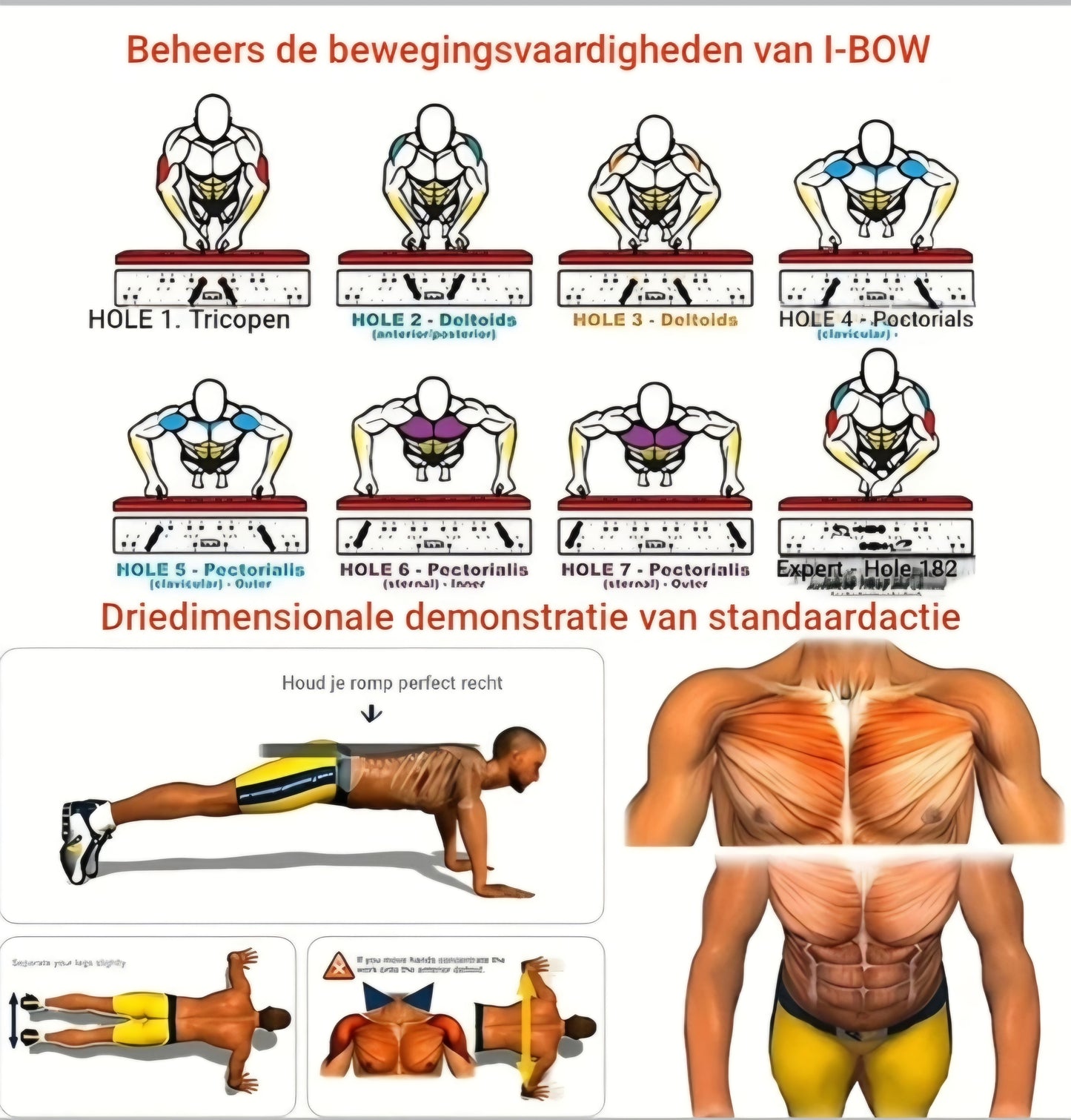 Multifunctioneel Push-up Bord voor Borst, Buik, Armen en Rug
