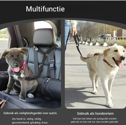 Veiligheidsgordel voor Honden en Katten